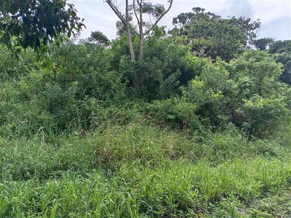 900 m² Land 900 m² Land