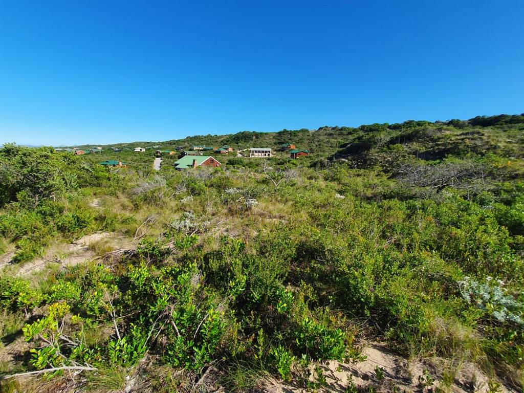 1300 m² Land available in Gamtoos Mouth photo number 9
