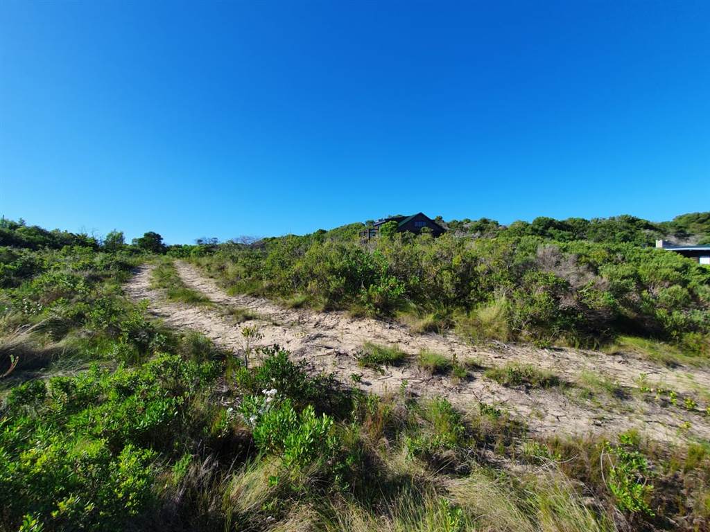1300 m² Land available in Gamtoos Mouth photo number 5