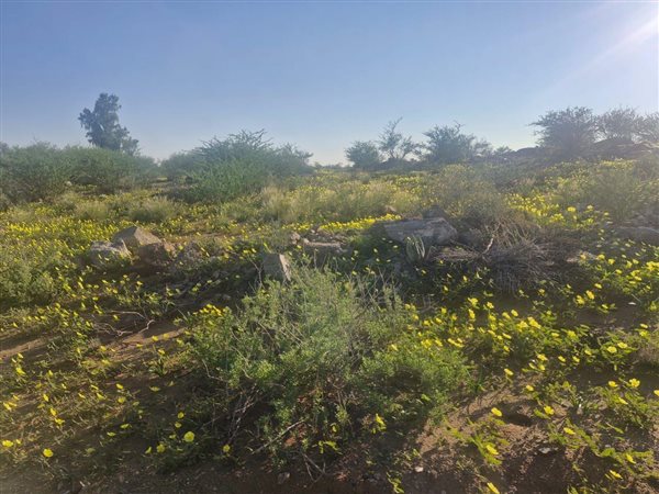 3 951 m² Land 3 951 m² Land