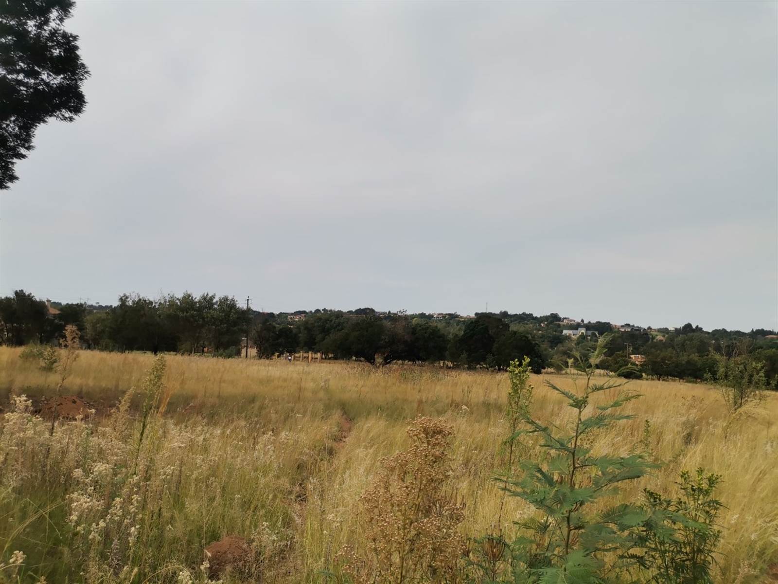 1 ha Land available in Rietvalleipark photo number 3