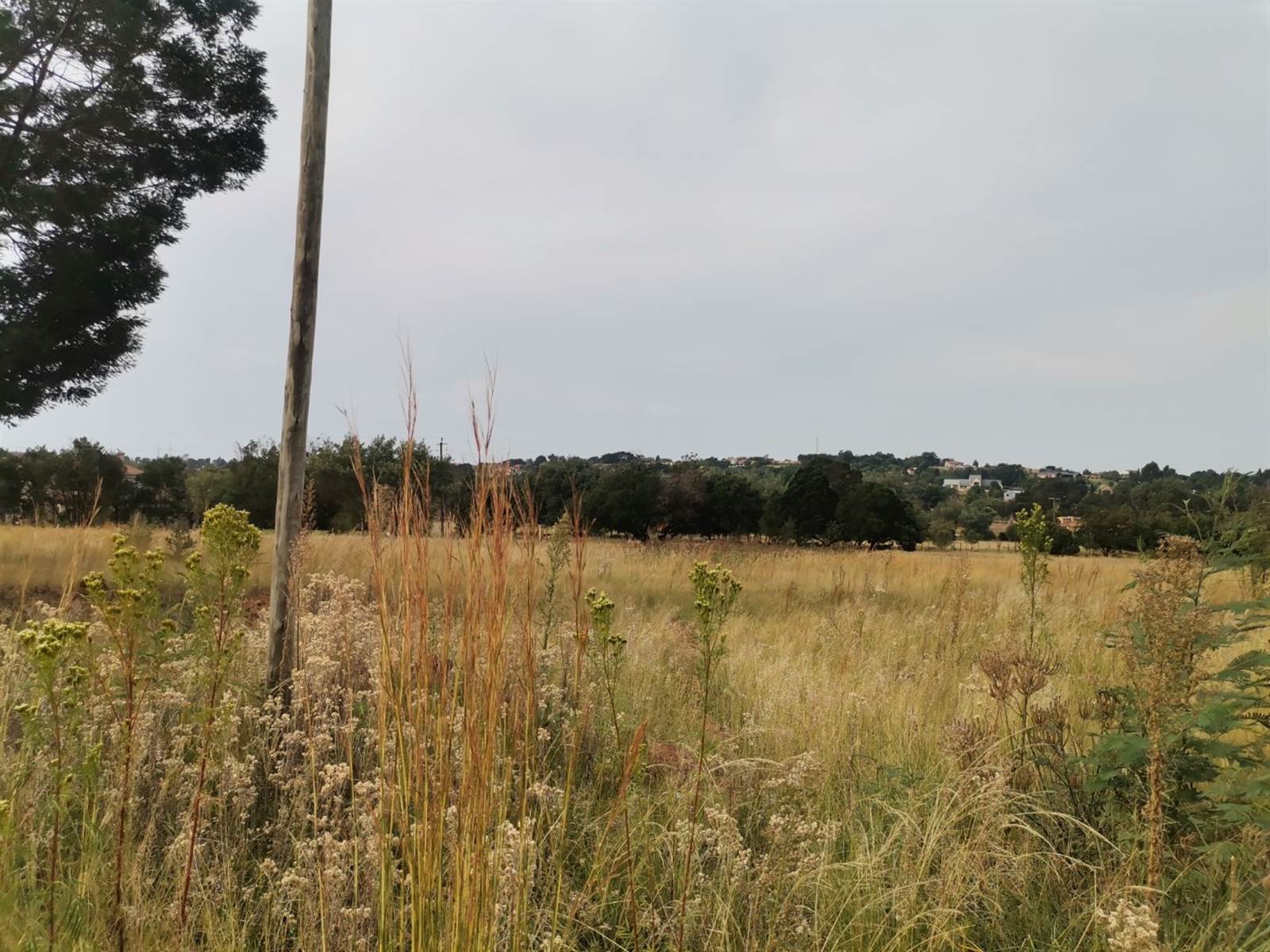 1 ha Land available in Rietvalleipark photo number 5