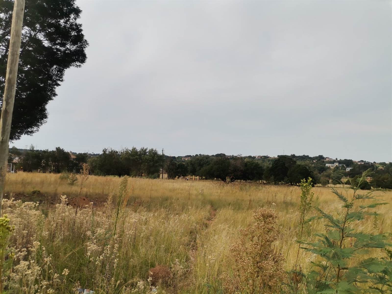 1 ha Land available in Rietvalleipark photo number 2