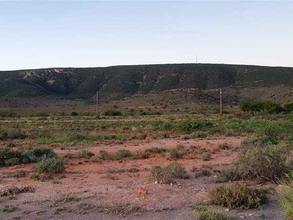 1000 m² Land available in Steytlerville