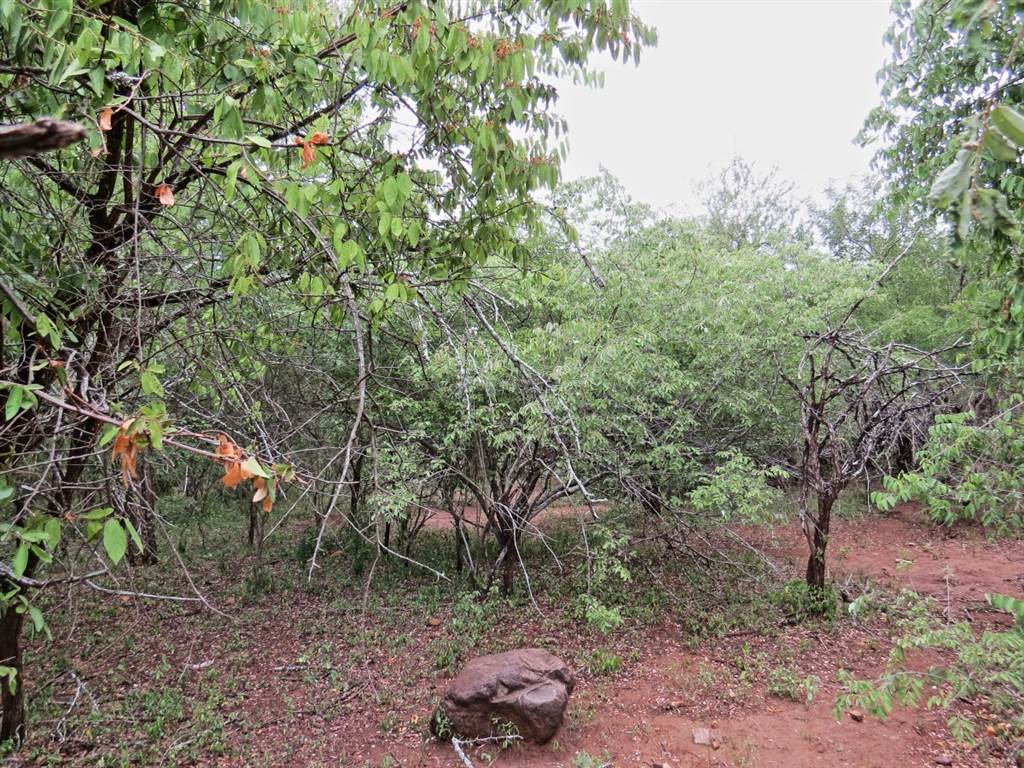 1590 m² Land available in Marloth Park photo number 3