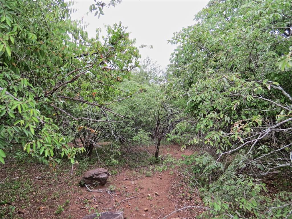 1590 m² Land available in Marloth Park photo number 2