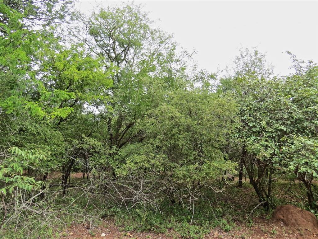 1590 m² Land available in Marloth Park photo number 1