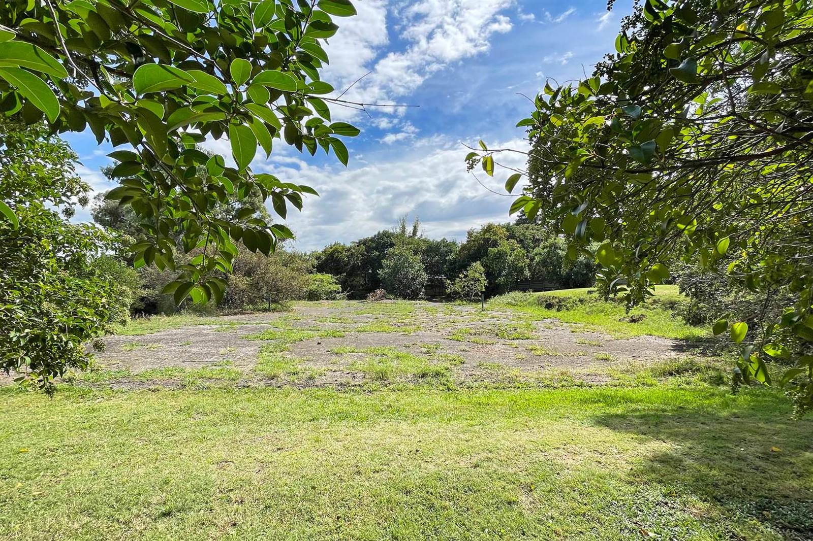 7254 m² Land available in Rivonia photo number 29