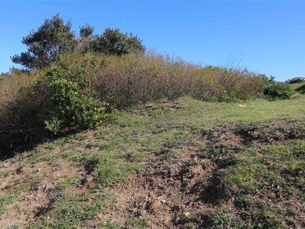 716 m² Land available in Mossel Bay Golf Estate
