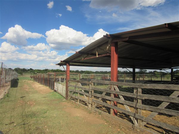 21 ha Smallholding