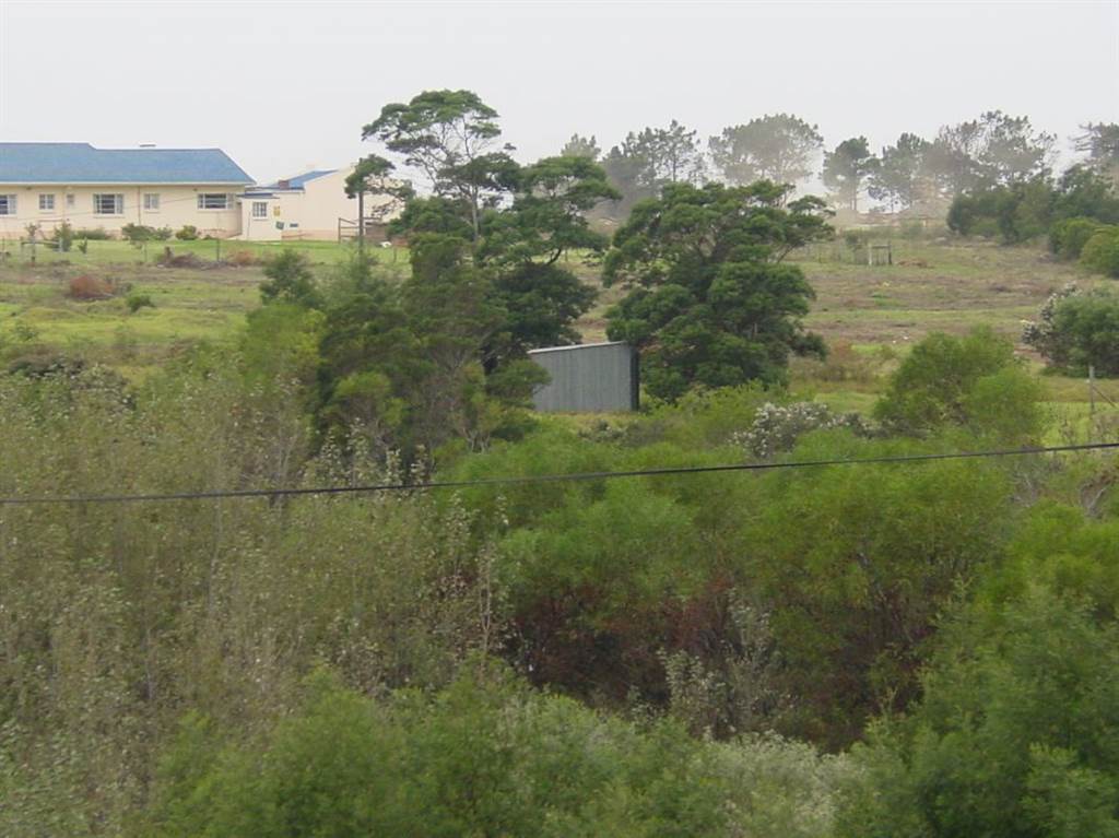 8007 m² Land available in Humansdorp photo number 4