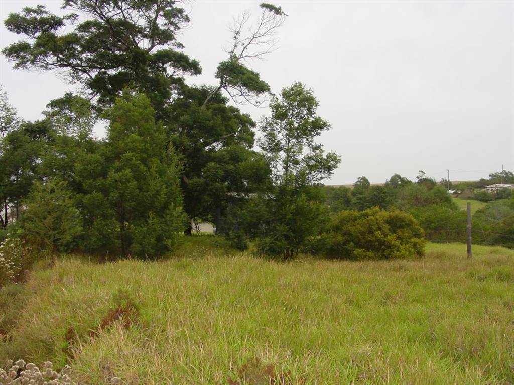 8007 m² Land available in Humansdorp photo number 2