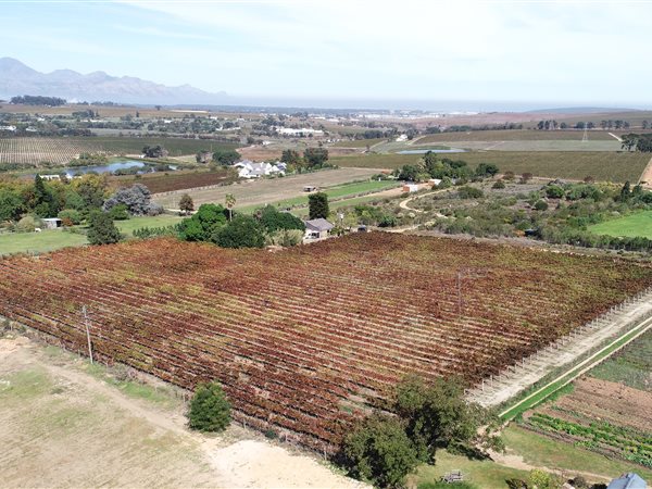 1.7 ha Smallholding 1.7 ha Smallholding