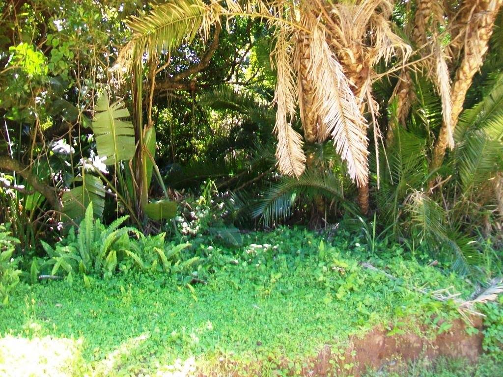1640 m² Land available in Palm Beach photo number 2