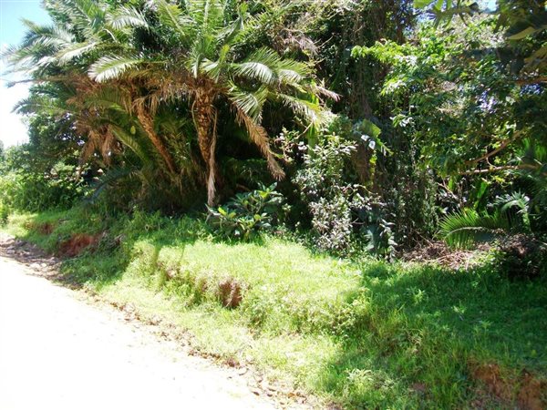 1640 m² Land available in Palm Beach
