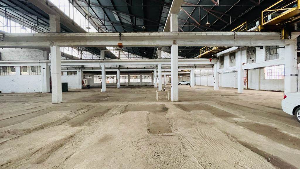 8000  m² Industrial space in Manufacta photo number 6
