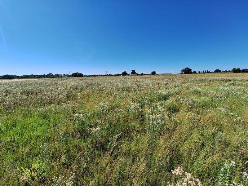 5 ha Land available in Bloemfontein photo number 7