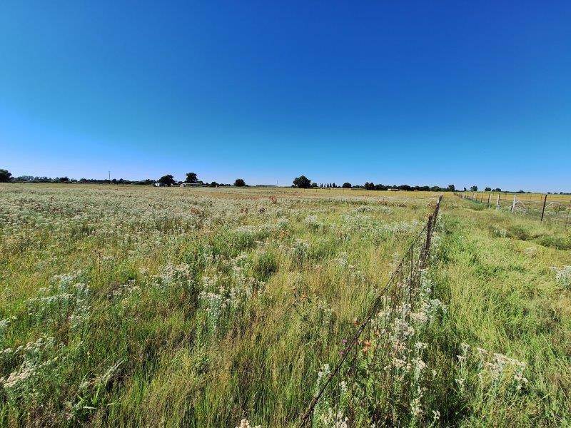 5 ha Land available in Bloemfontein photo number 6