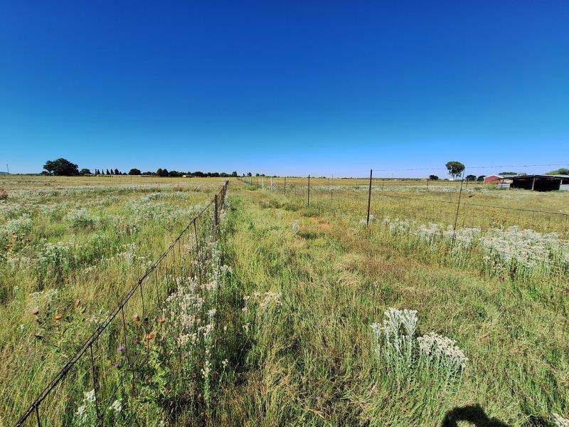 5 ha Land available in Bloemfontein photo number 4