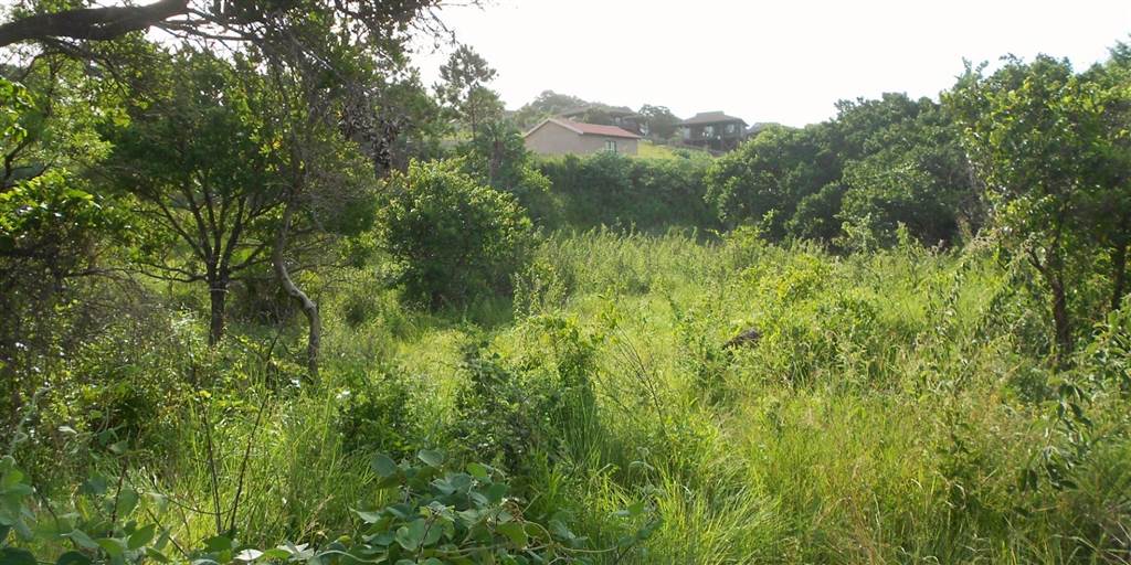 2267 m² Land available in Palm Beach photo number 2