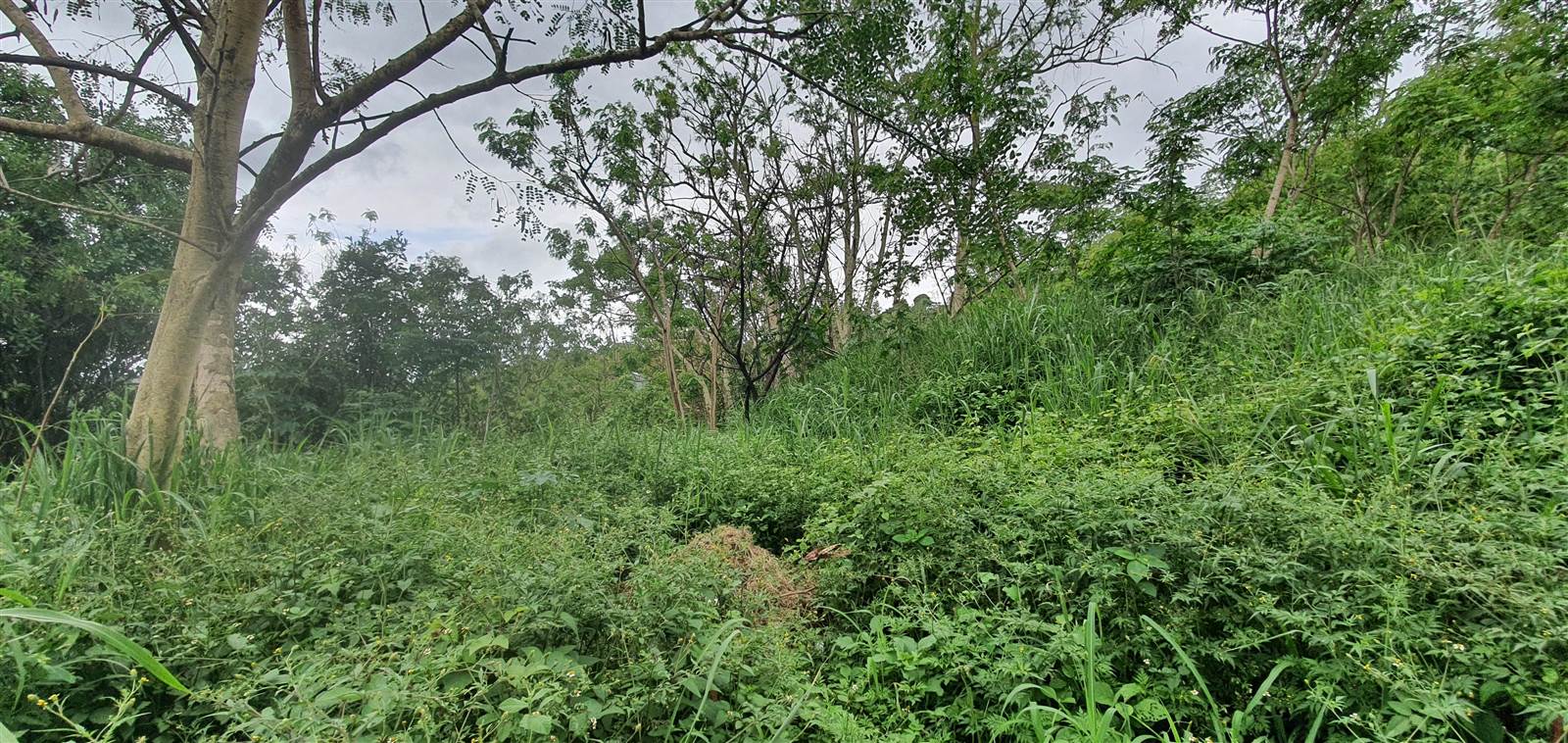 3506 m² Land available in Southridge photo number 2