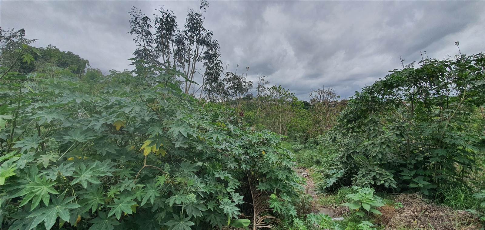 3506 m² Land available in Southridge photo number 3