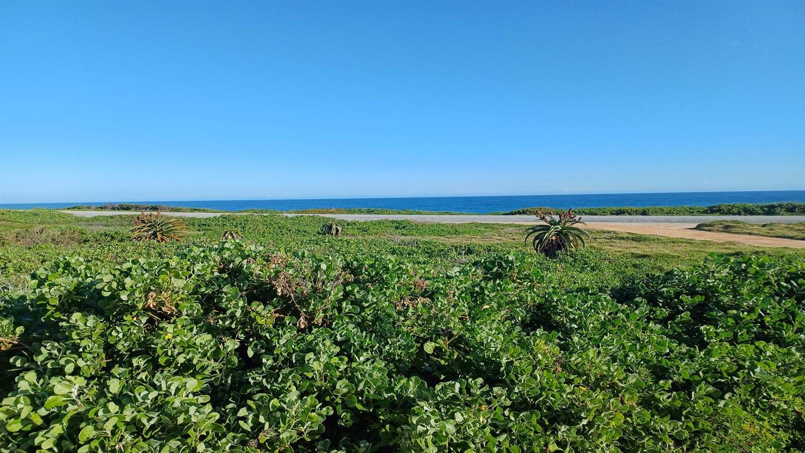 952 m² Land available in Seaview photo number 4