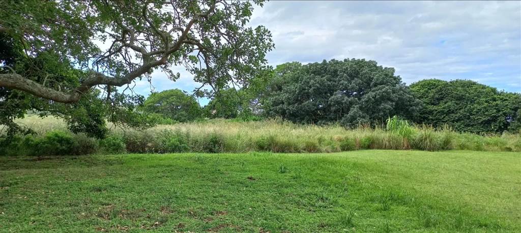 1334 m² Land available in Leisure Bay photo number 3