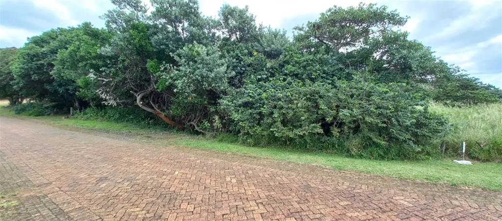 1334 m² Land available in Leisure Bay photo number 4