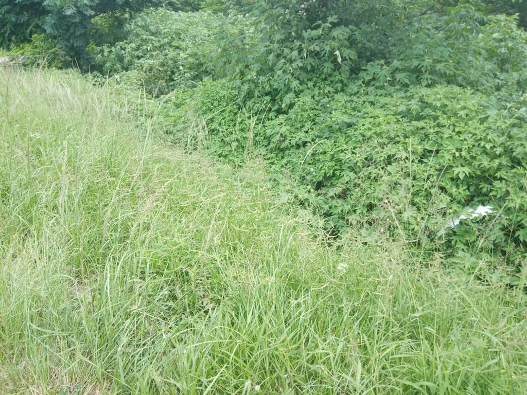 316 m² Land available in Nagina photo number 1