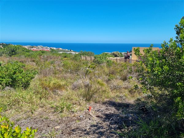 1286 m² Land available in Dana Bay