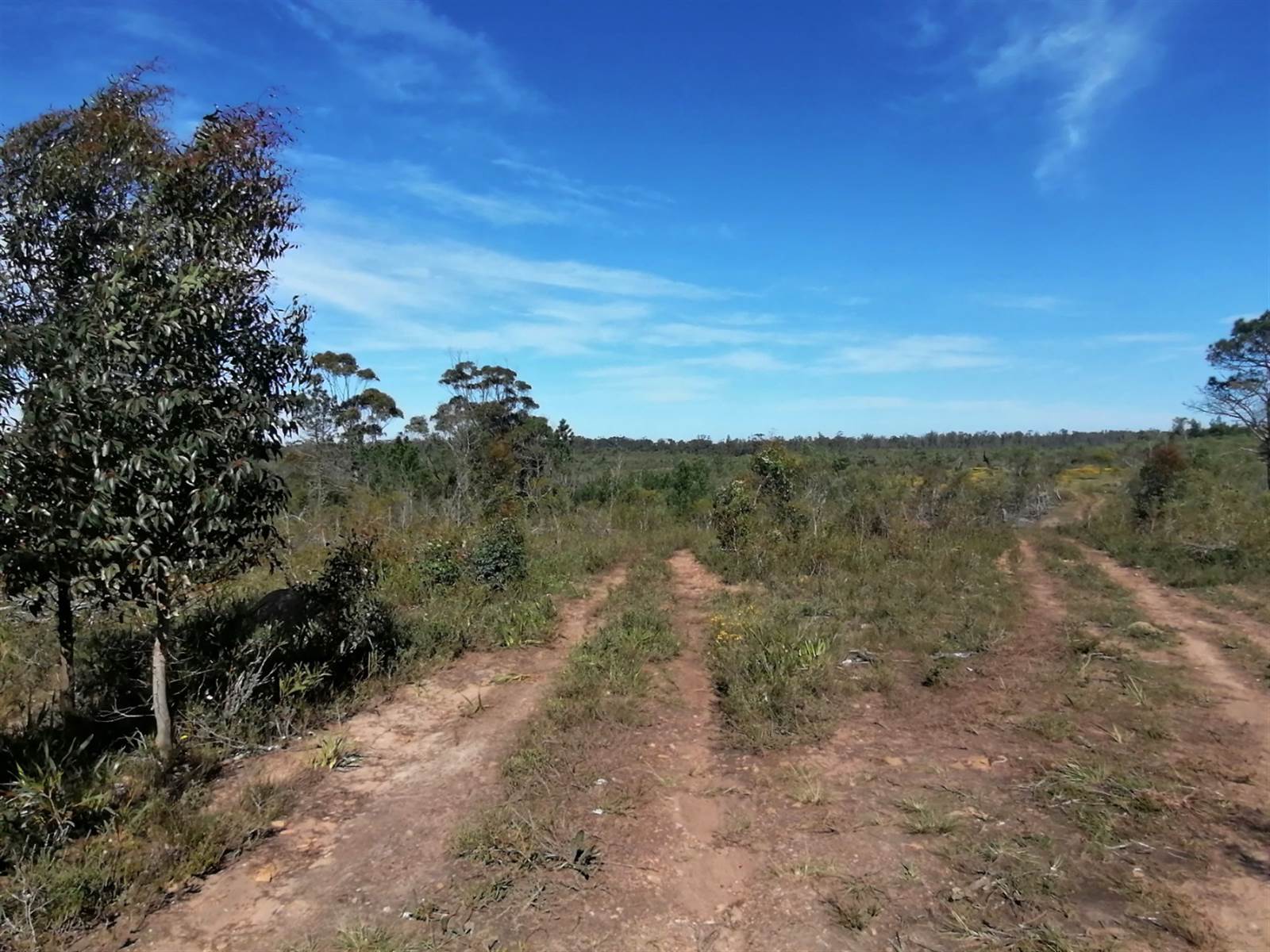 8.4 ha Land available in Greenbushes photo number 16