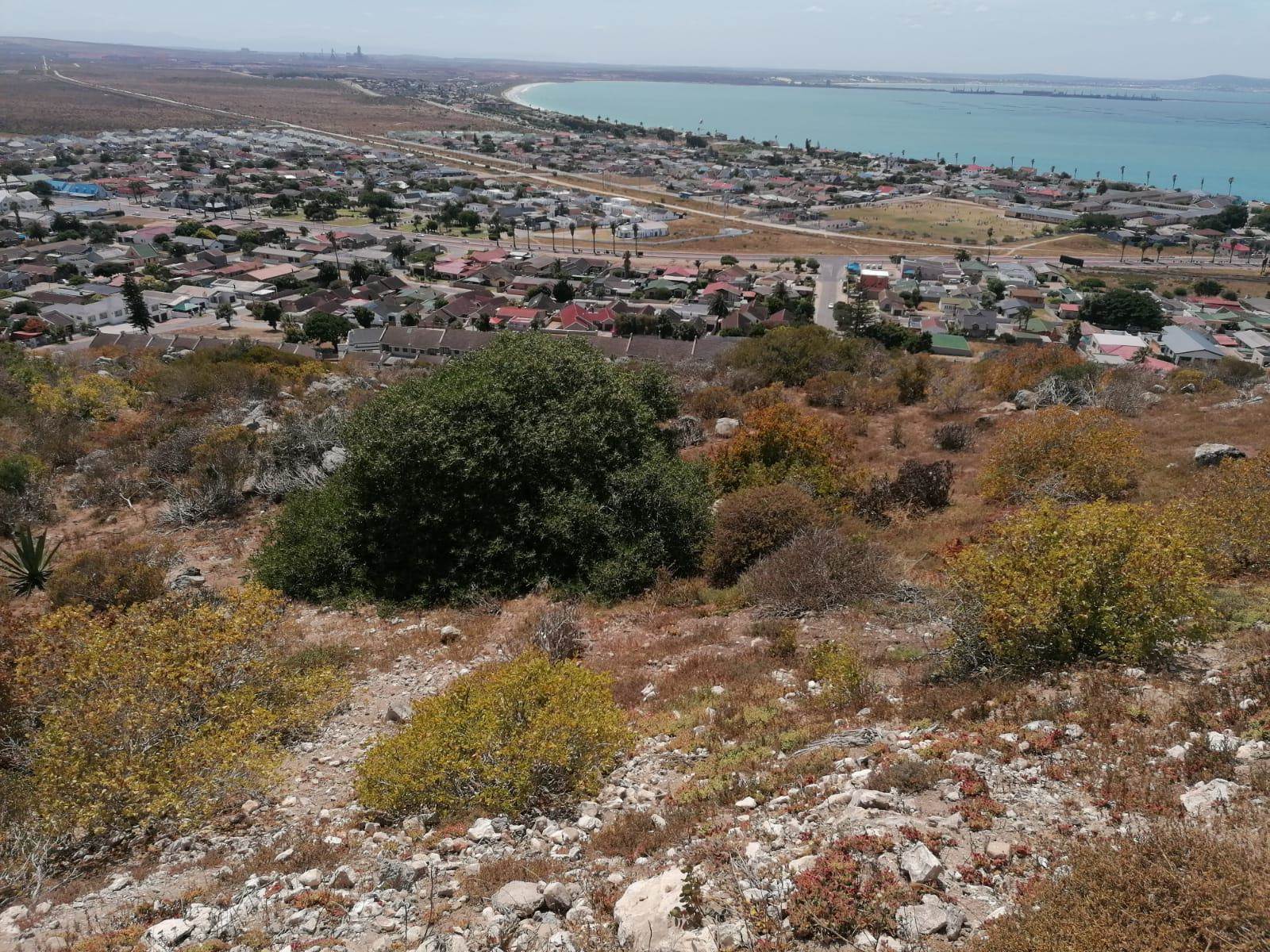 832 m² Land available in Saldanha photo number 1