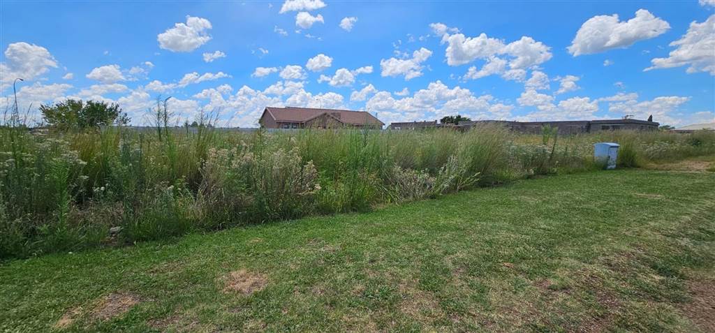 1033 m² Land available in Riversdale photo number 3