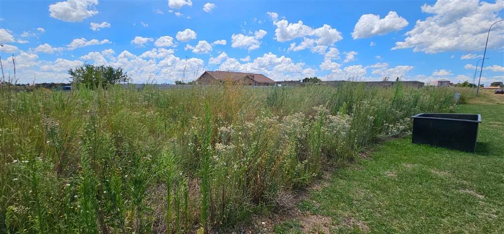 1033 m² Land available in Riversdale photo number 2