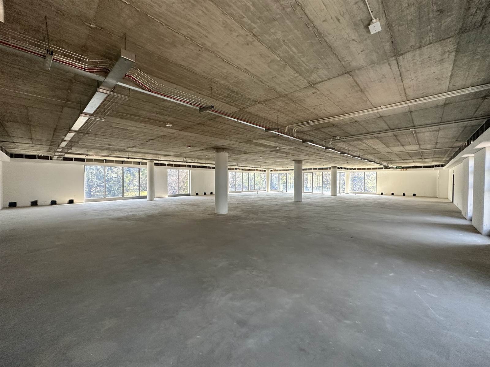 3514  m² Commercial space in Rosebank photo number 12