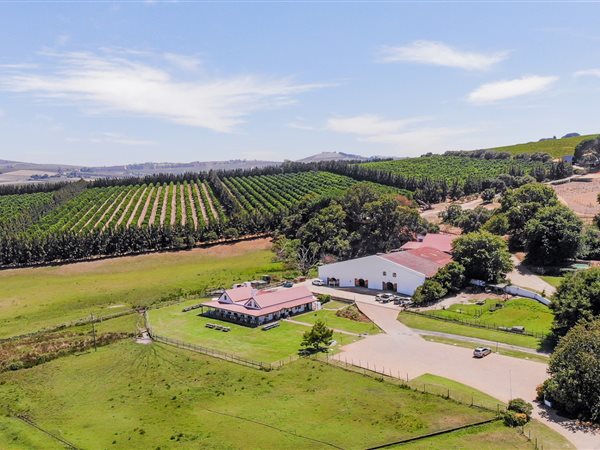 53.6 ha Farm in Stellenbosch Agricultural