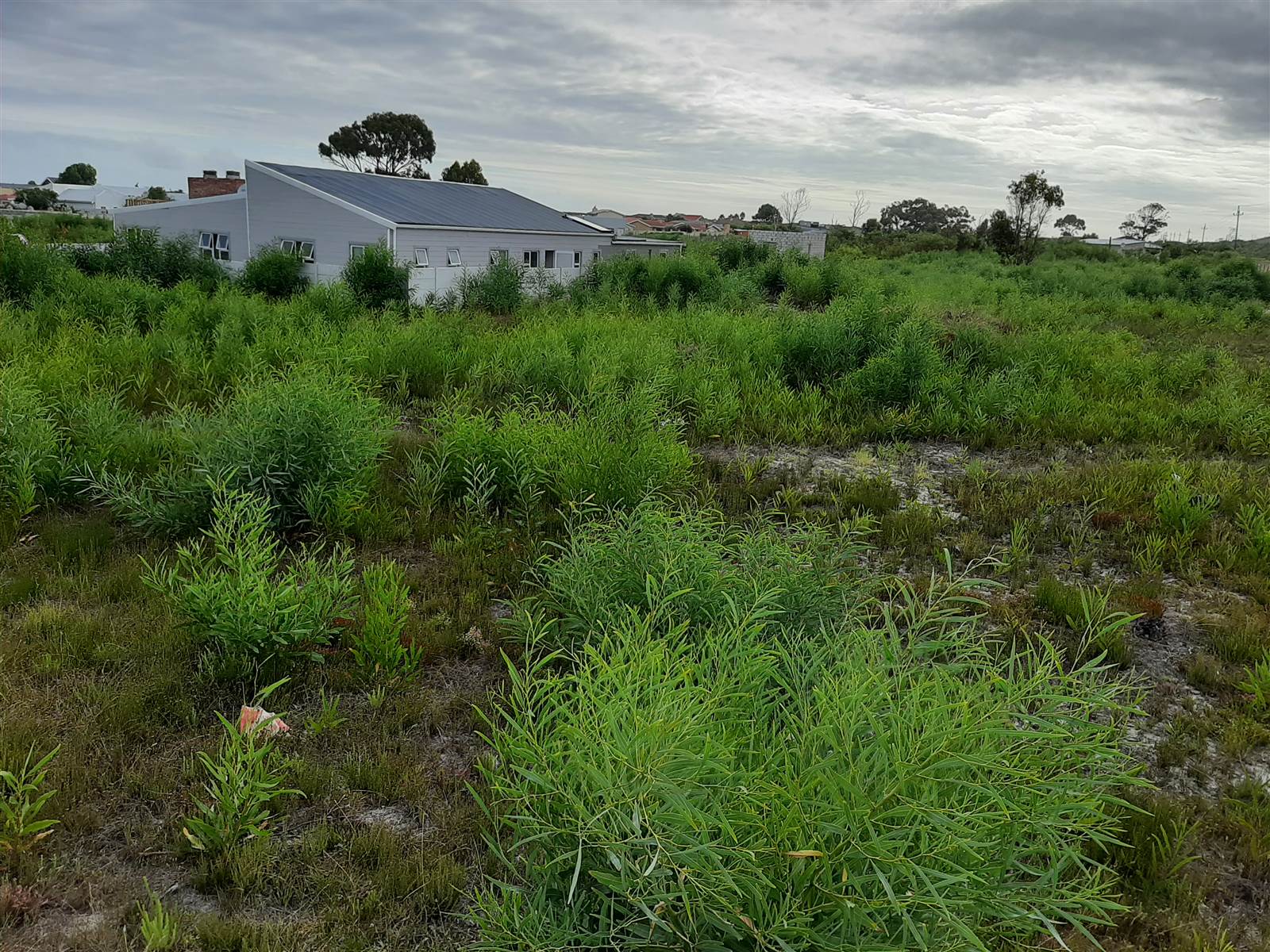 1018 m² Land available in Franskraal photo number 5
