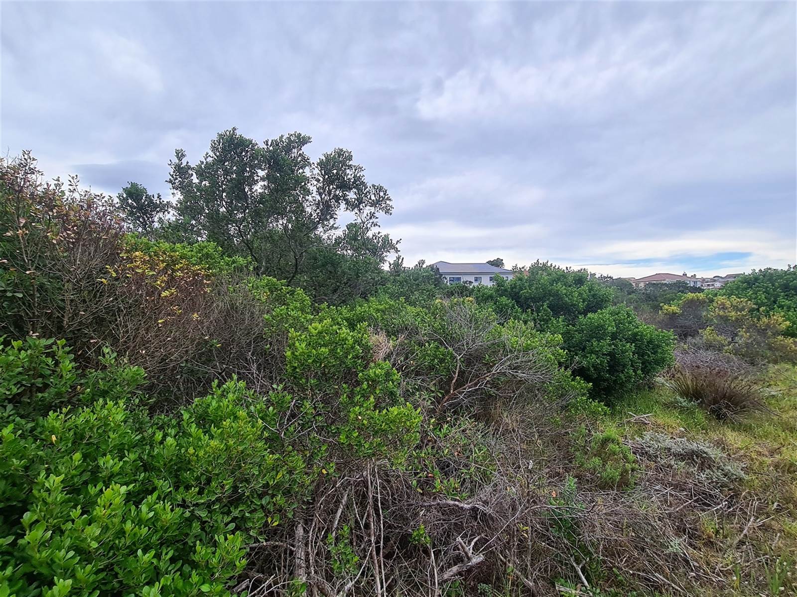 1286 m² Land available in Dana Bay photo number 5