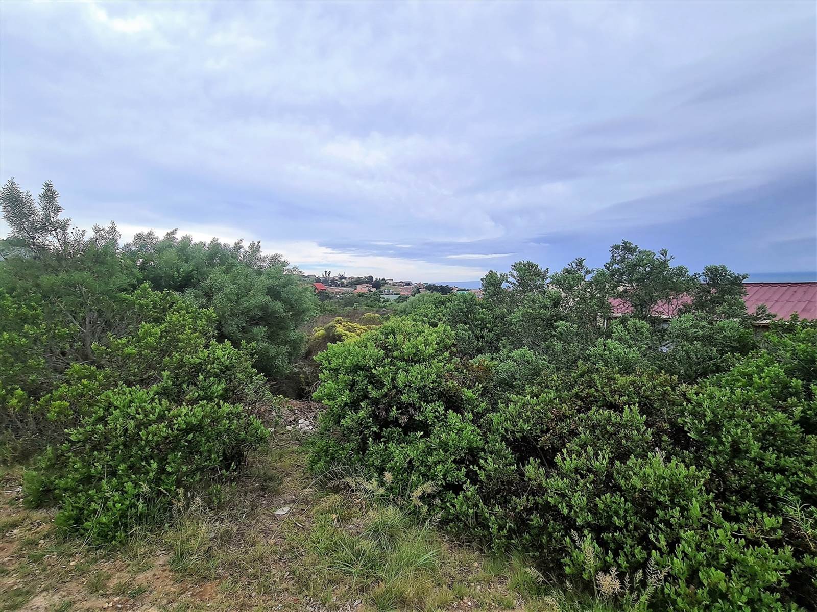 1286 m² Land available in Dana Bay photo number 4