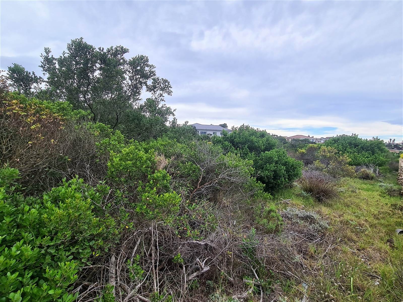 1286 m² Land available in Dana Bay photo number 6