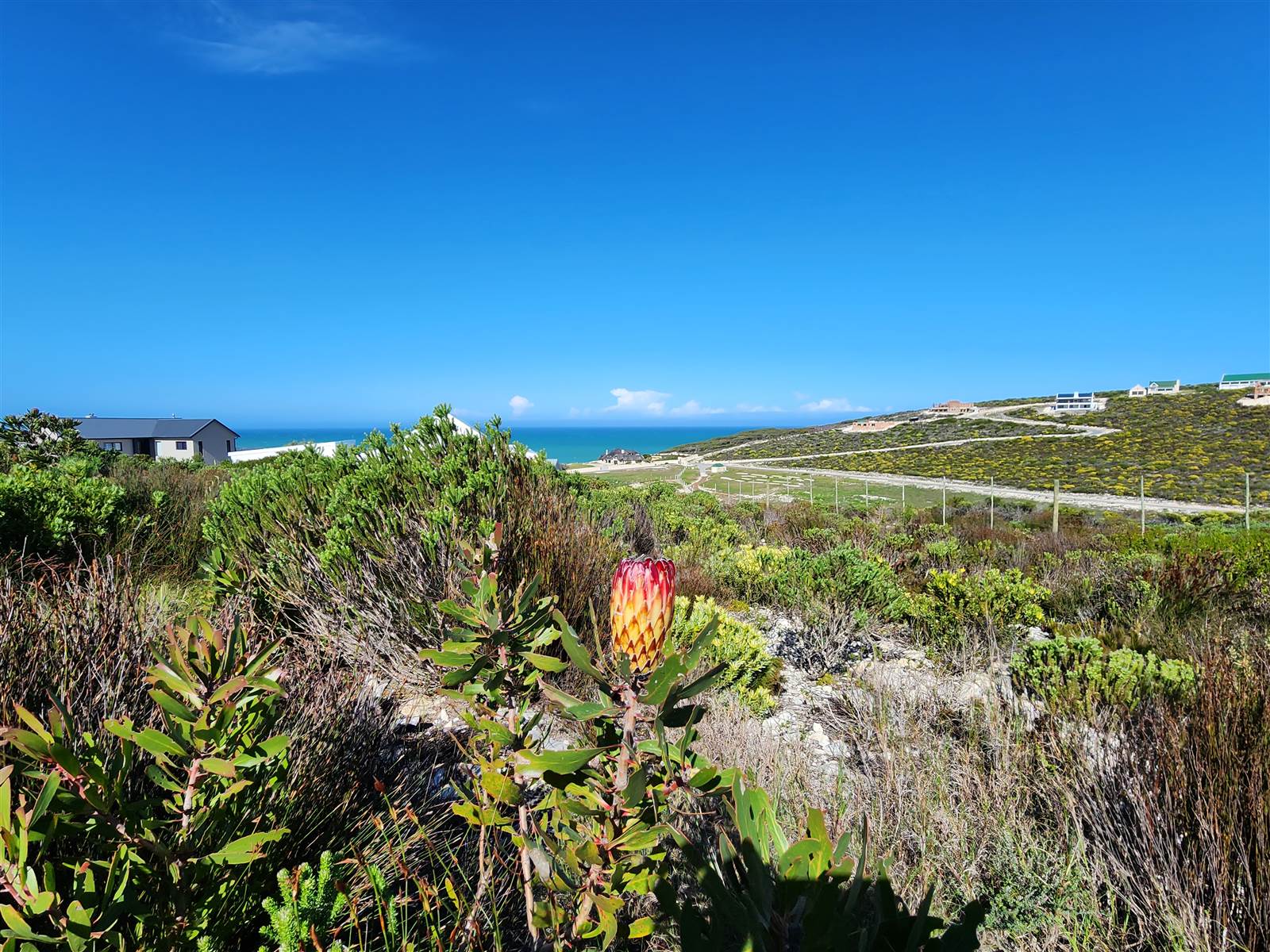 675 m² Land available in Struisbaai photo number 6