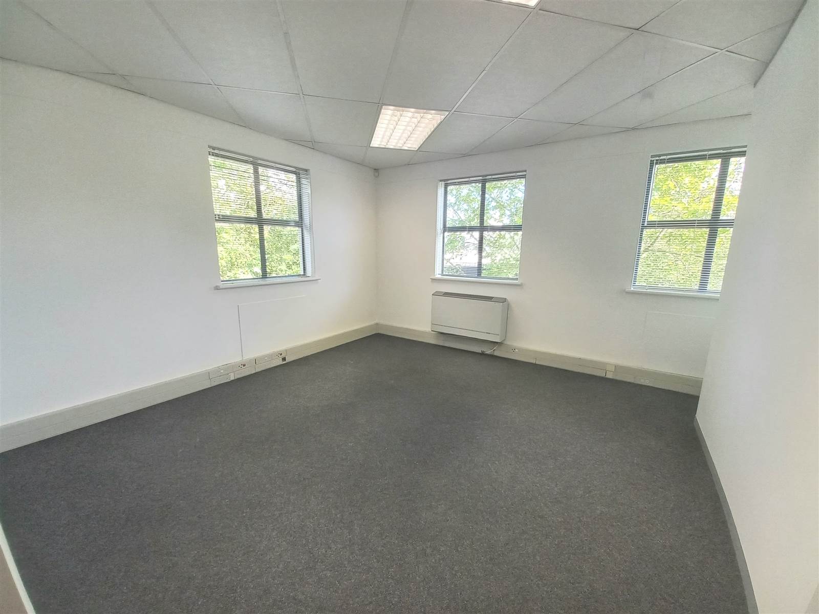 330  m² Commercial space in Kenilworth photo number 13