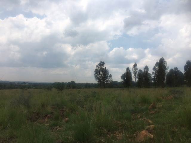 4 ha Land available in Vyfhoek photo number 2
