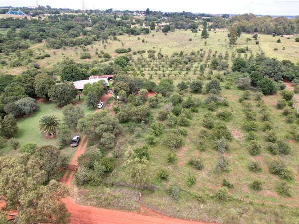 8.6 ha Smallholding