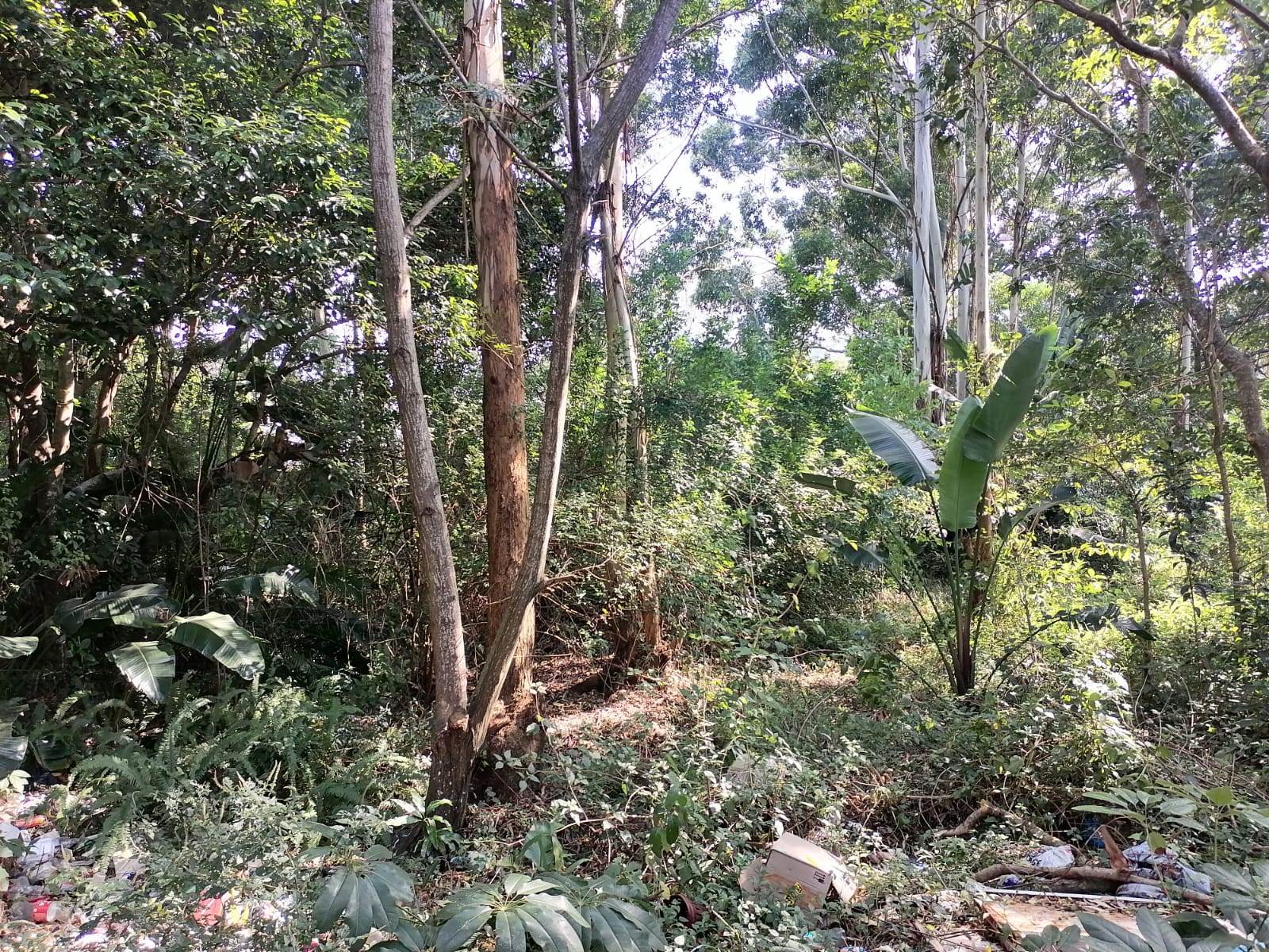 4379 m² Land available in Shelly Beach photo number 6