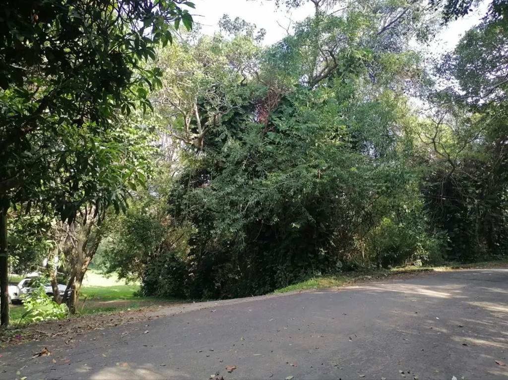 4379 m² Land available in Shelly Beach photo number 2