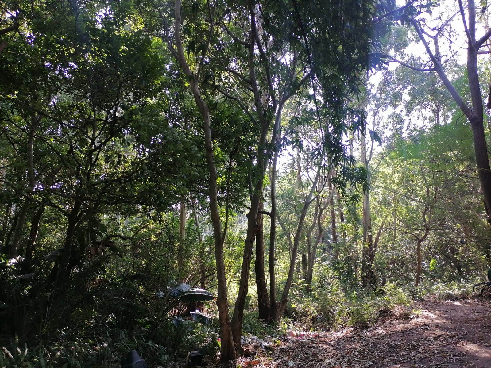 4379 m² Land available in Shelly Beach photo number 10
