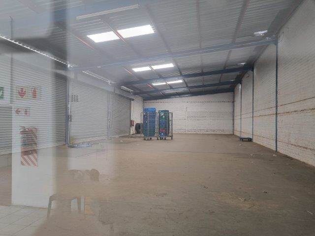 1500  m² Industrial space in Hamilton photo number 5