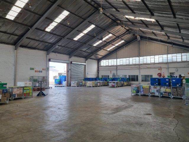 1500  m² Industrial space in Hamilton photo number 9